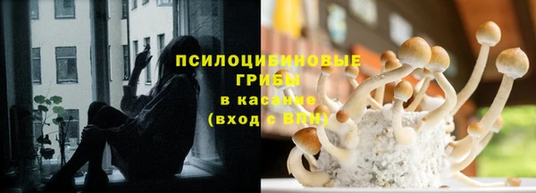 шишки Алзамай