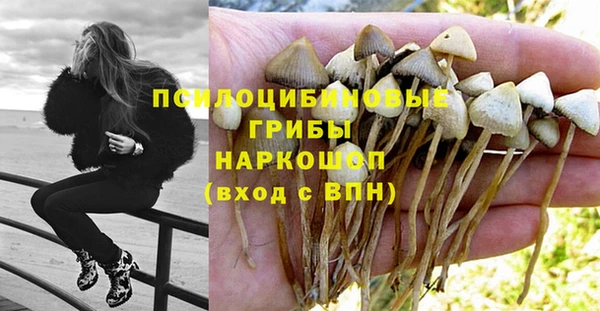 не бодяженный Алексин
