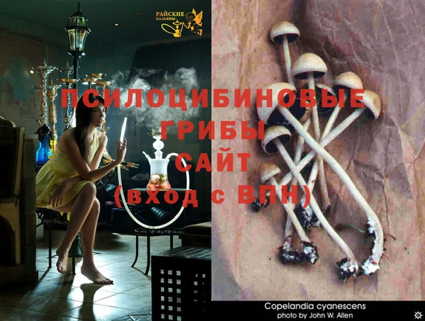дживик Алексеевка