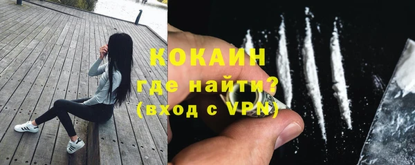 не бодяженный Алексин