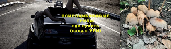 дживик Алексеевка