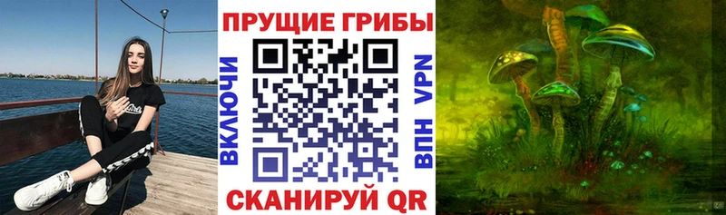 Галлюциногенные грибы MAGIC MUSHROOMS  Белореченск 